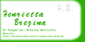 henrietta brezina business card